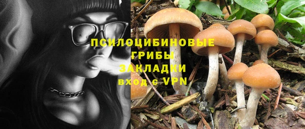 прущая мука Инсар