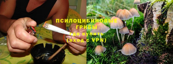 скорость Зеленокумск